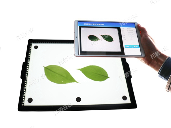 智能葉面積測量系統 YMJ-CHA3