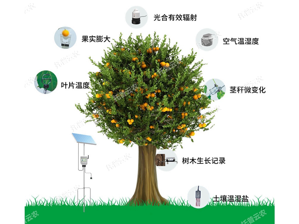 植物生理生態(tài)監(jiān)測系統(tǒng) TP-ZWSL系列