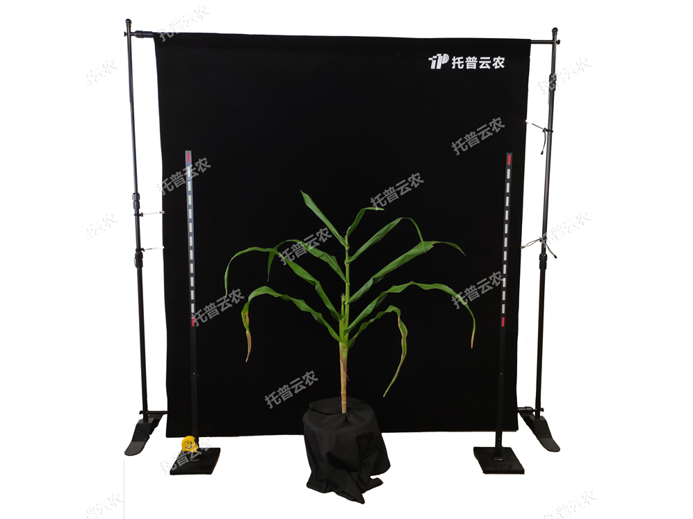 玉米株型分析系統 TPMT-X-1