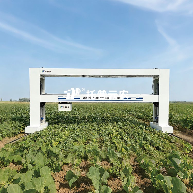 龙门式高通量表型采集分析平台（地轨式）