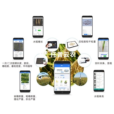 水稻表型檢測系統TPS-BX-1_400.jpg