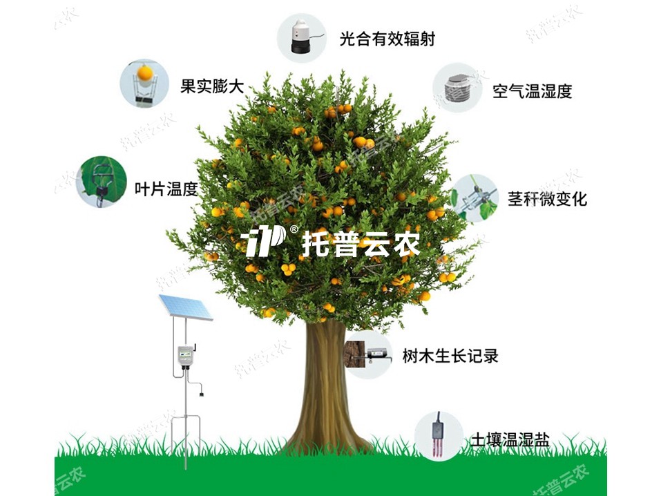 36e6e4e1baf53a55020459a81ede1000_1717490831631171.jpg